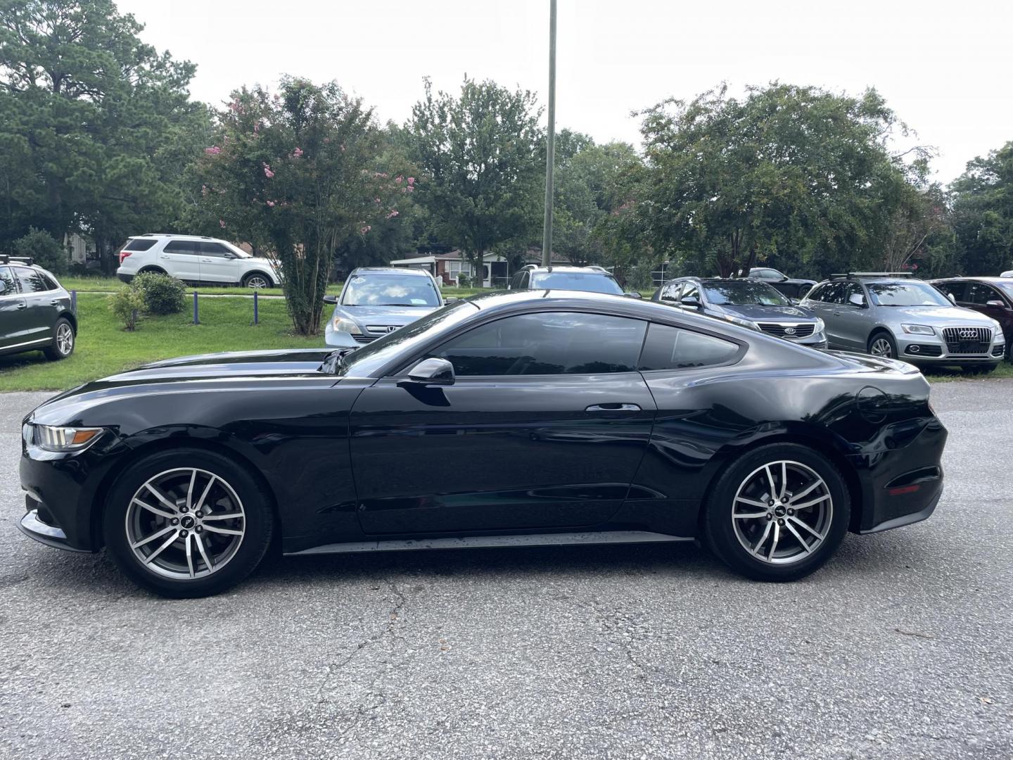 2015 BLACK FORD MUSTANG ECOBOOST (1FA6P8TH3F5) with an 2.3L engine, Automatic transmission, located at 5103 Dorchester Rd., Charleston, SC, 29418-5607, (843) 767-1122, 36.245171, -115.228050 - Photo#3