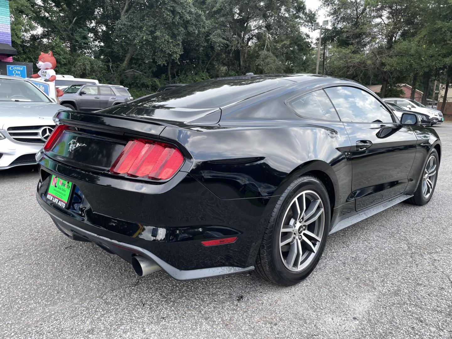 2015 BLACK FORD MUSTANG ECOBOOST (1FA6P8TH3F5) with an 2.3L engine, Automatic transmission, located at 5103 Dorchester Rd., Charleston, SC, 29418-5607, (843) 767-1122, 36.245171, -115.228050 - Photo#6