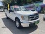 2013 WHITE FORD F-150 XL (1FTNF1CFXDK) with an 5.0L engine, Automatic transmission, located at 5103 Dorchester Rd., Charleston, SC, 29418-5607, (843) 767-1122, 36.245171, -115.228050 - Photo#0