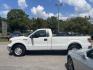 2013 WHITE FORD F-150 XL (1FTNF1CFXDK) with an 5.0L engine, Automatic transmission, located at 5103 Dorchester Rd., Charleston, SC, 29418-5607, (843) 767-1122, 36.245171, -115.228050 - Photo#3