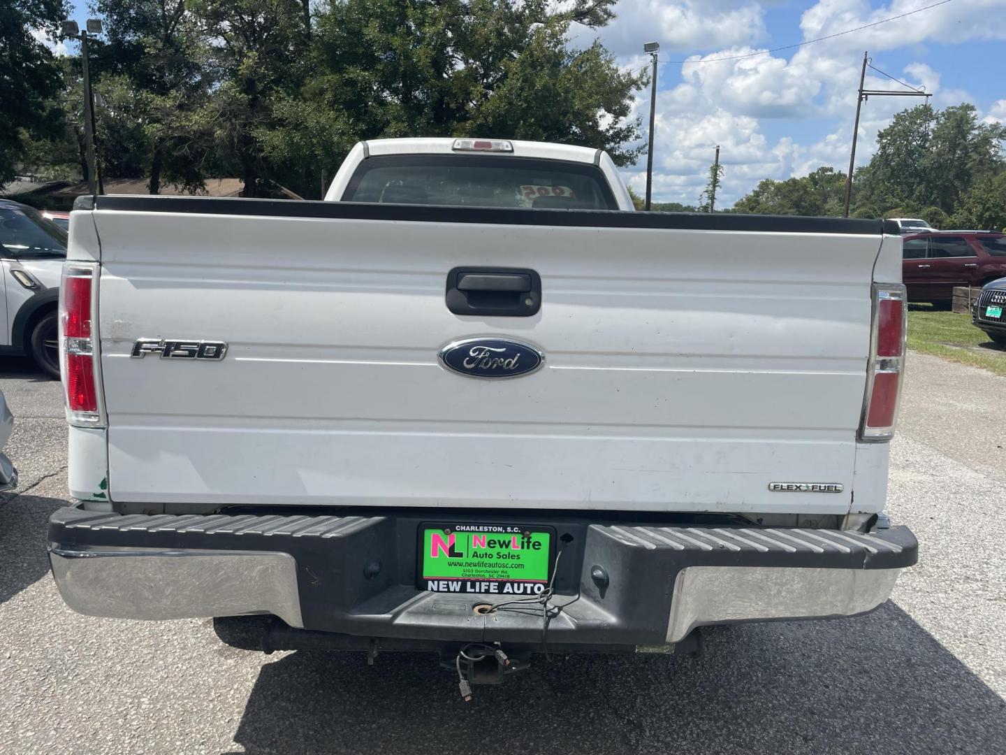 2013 WHITE FORD F-150 XL (1FTNF1CFXDK) with an 5.0L engine, Automatic transmission, located at 5103 Dorchester Rd., Charleston, SC, 29418-5607, (843) 767-1122, 36.245171, -115.228050 - Photo#5