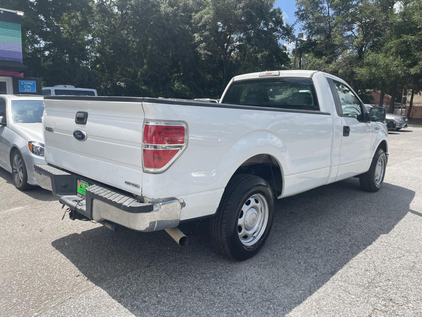 2013 WHITE FORD F-150 XL (1FTNF1CFXDK) with an 5.0L engine, Automatic transmission, located at 5103 Dorchester Rd., Charleston, SC, 29418-5607, (843) 767-1122, 36.245171, -115.228050 - Photo#7