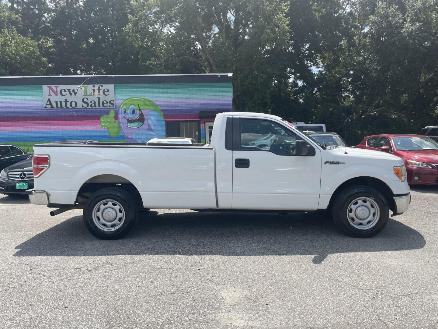 2013 WHITE FORD F-150 XL (1FTNF1CFXDK) with an 5.0L engine, Automatic transmission, located at 5103 Dorchester Rd., Charleston, SC, 29418-5607, (843) 767-1122, 36.245171, -115.228050 - Photo#8